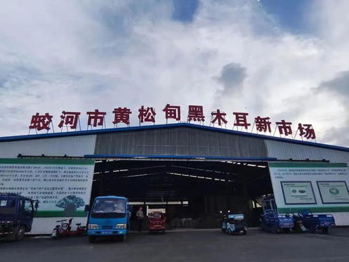 老字號 產品添柴助力江城文旅熱