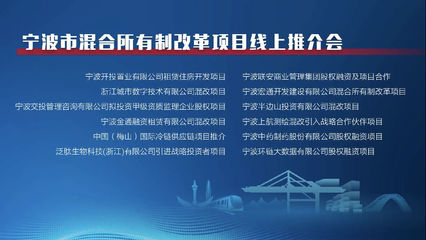 寧波市首屆混改項(xiàng)目線上推介會(huì)成功舉辦，宏通集團(tuán)項(xiàng)目備受矚目