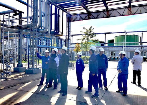 精心打造母廠 重振歷史雄風——寶塔集團董事局孫珩超主席調研精細化工技改項目